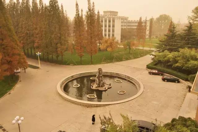 青岛农业大学海都学院专升本在哪,专升本青岛农业大学海都园艺专业