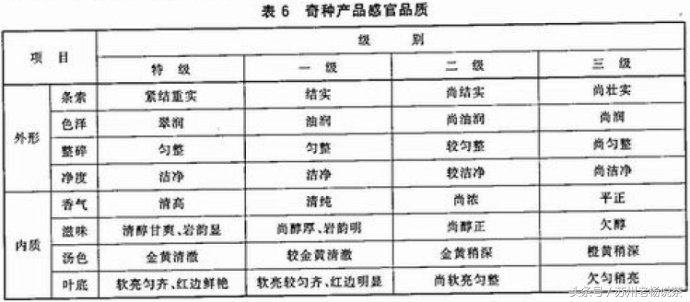老杨说茶完整版视频,老杨说茶112期
