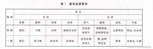 老杨说茶完整版视频,老杨说茶112期