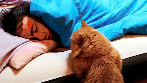 这样的叫床方式，有点一言难尽！