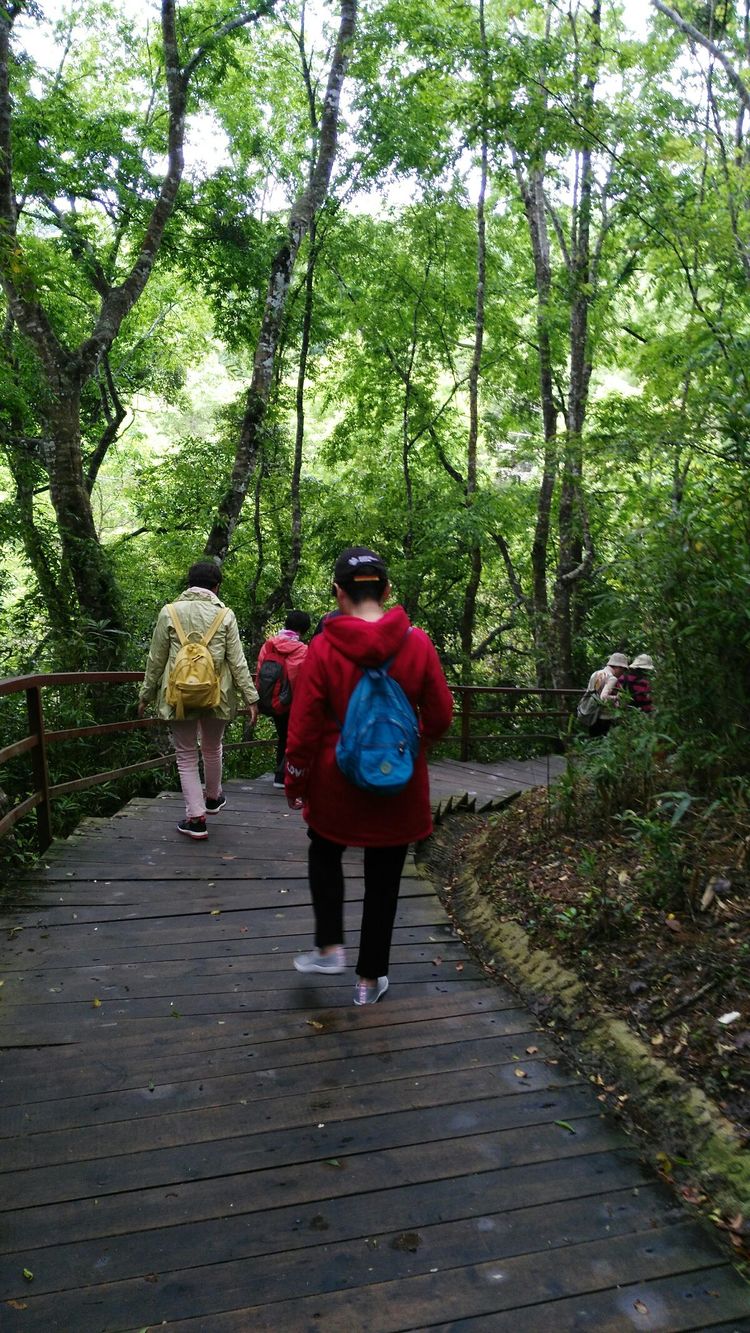 鍠滀箰瀹舵棌,鍠滀箰瀹舵棌鎴愬憳