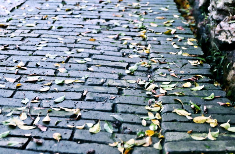 陪伴就是最长情的告白,周末,带儿子到佛山“小台湾”度个假