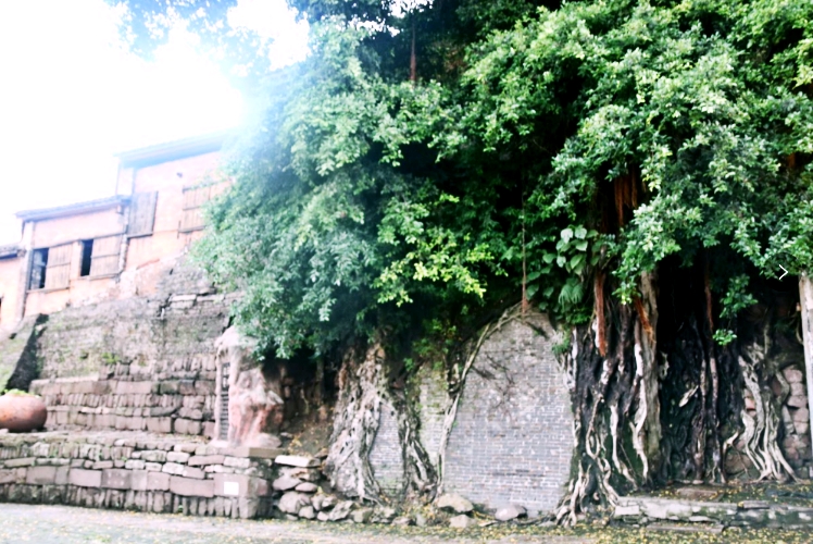 陪伴就是最长情的告白,周末,带儿子到佛山“小台湾”度个假