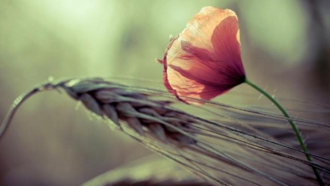 约会女生经常迟到正常吗,约会总迟到的女人