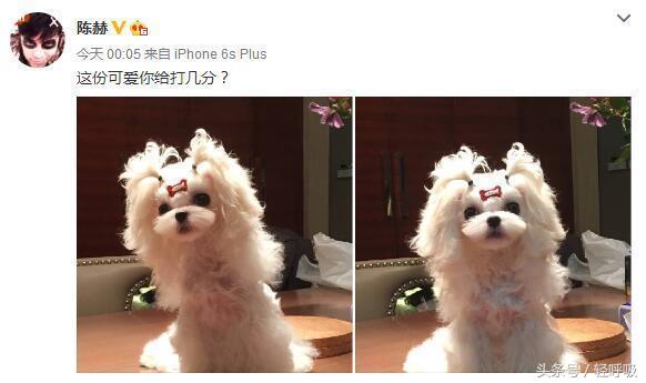 陈赫买豪华豪宅,陈赫住大豪宅