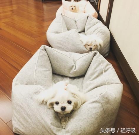 陈赫买豪华豪宅,陈赫住大豪宅