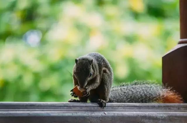 马来西亚五日游吉隆坡槟城仙本那,马来西亚仙本那和槟城哪个值得去