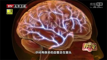 记忆大师提高记忆力的课程,国际记忆大师记忆力训练的方法