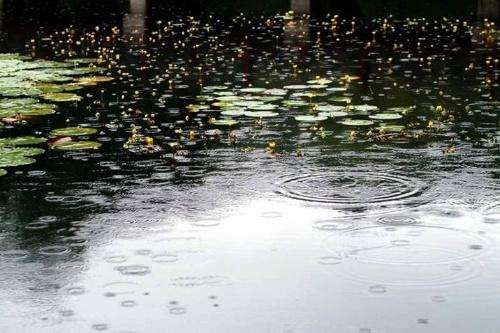 古诗中有雨诗句有哪些,雨中有诗意