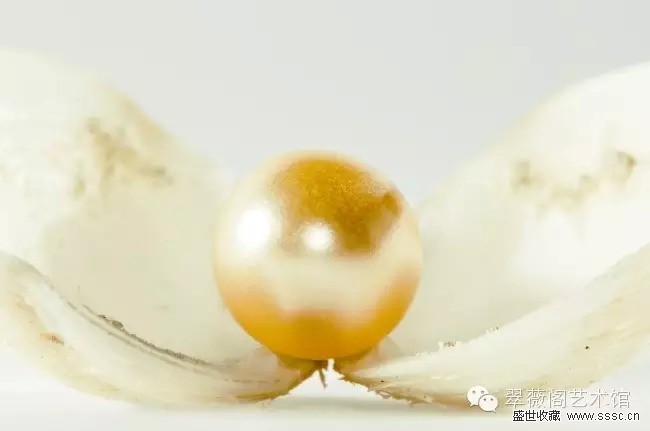 珍珠鉴别方法视频教程,珍珠鉴别及选购