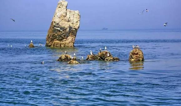大连黑岛风景区,大连周边值得一去的小岛