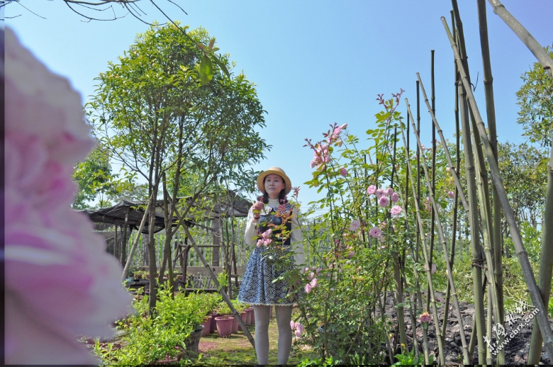 毕业之后的女孩现状,毕业后的大多数女生近况