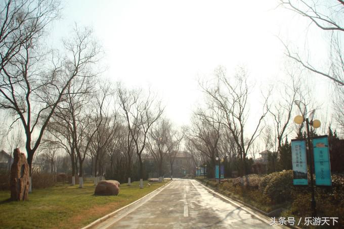 郑州思念果岭是森林公园吗,郑州思念果岭高尔夫球场