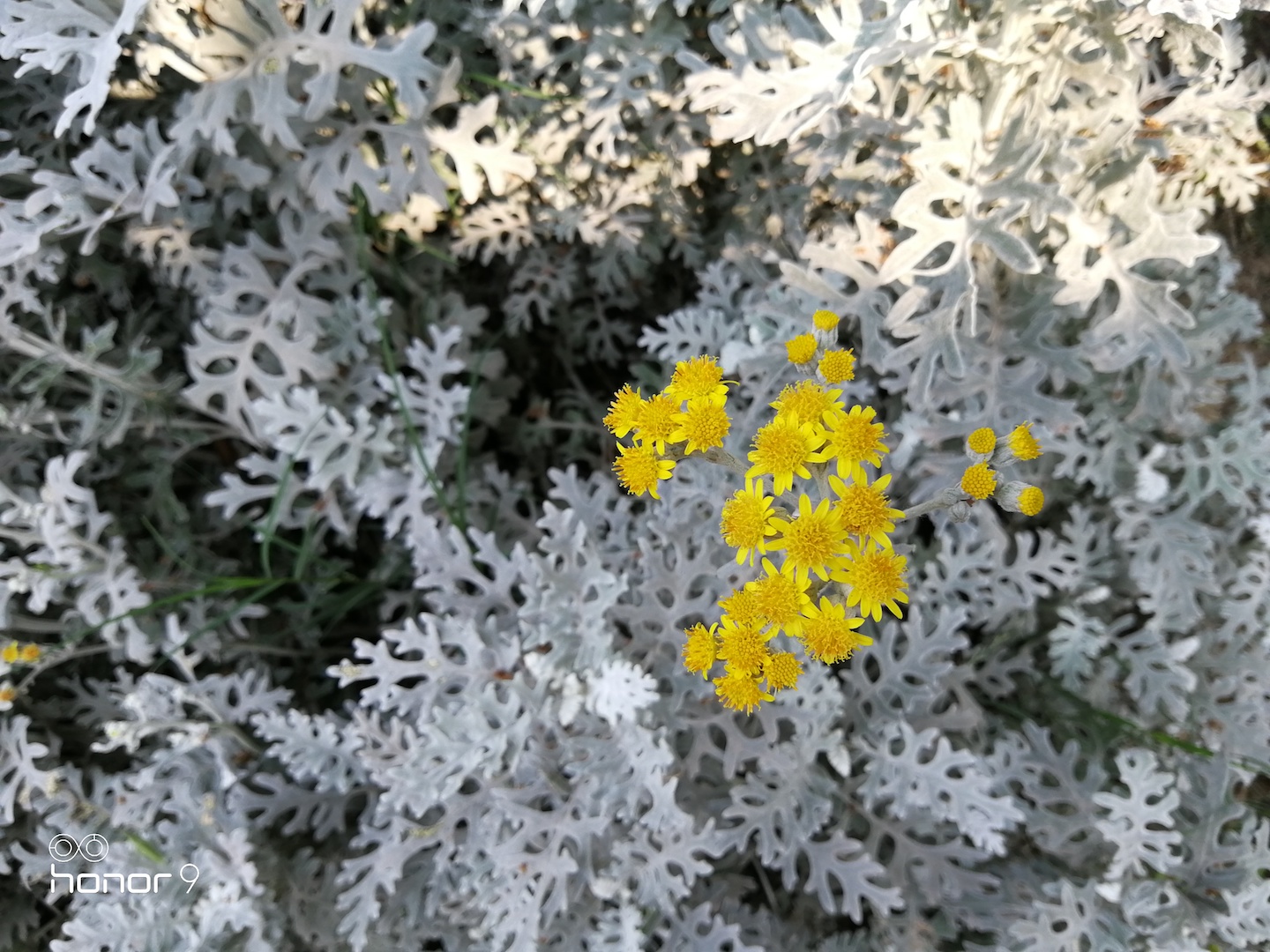 荣耀平板9值不值得购买,荣耀9值得买吗考研