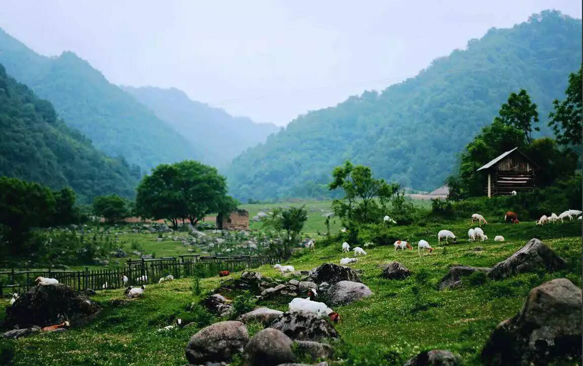 推荐秦岭避暑好去处,秦岭中的避暑胜地