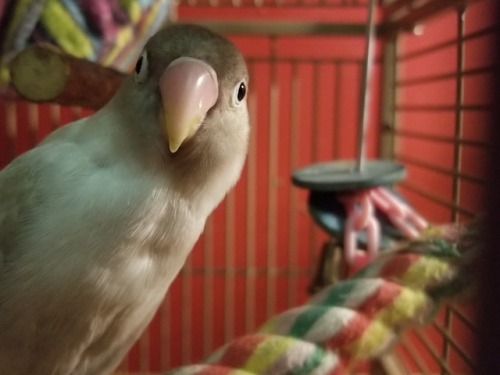 一个人很孤单该干什么呢,一个人很孤单做什么最合适