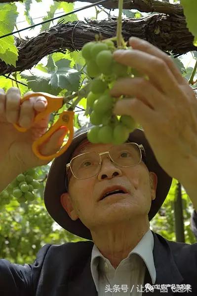 有种葡萄园，卖的不是产品，而是特色