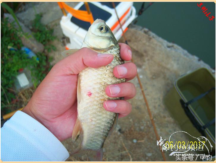 先分后合，爽钓半天