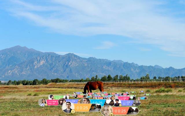 康西草原门票多少,延庆康西草原攻略
