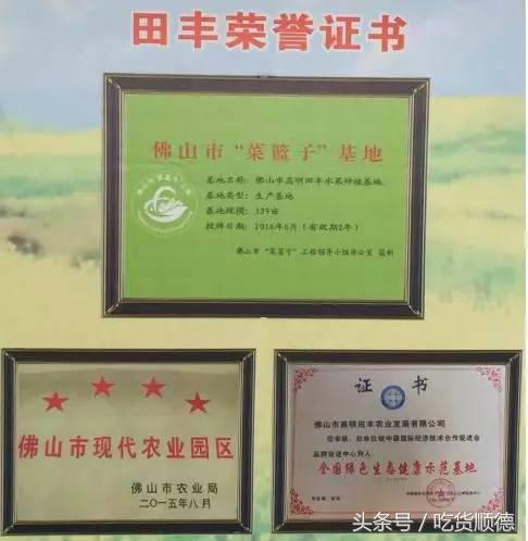 高明可以摘水果的农庄,高明60亩农庄