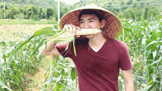 高明可以摘水果的农庄,高明60亩农庄