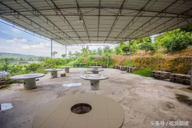 高明可以摘水果的农庄,高明60亩农庄