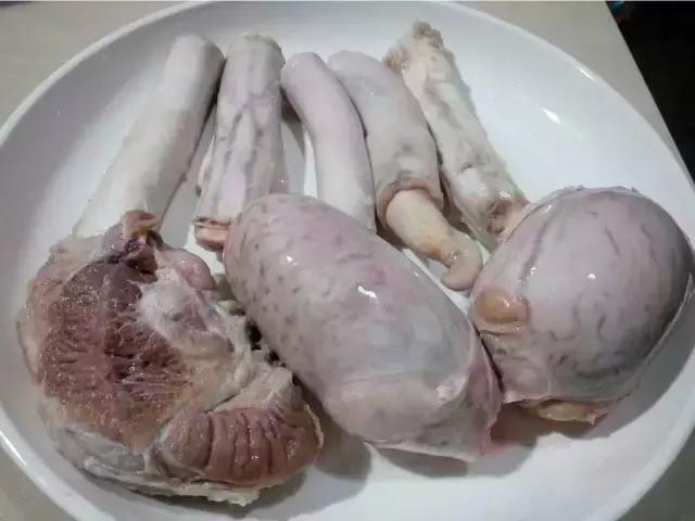 牛鞭猪肚鸡火锅,中山鸡子火锅