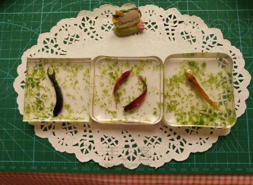 小小的金鱼死了怎么才能救活,彩色的金鱼死了还可以救活吗