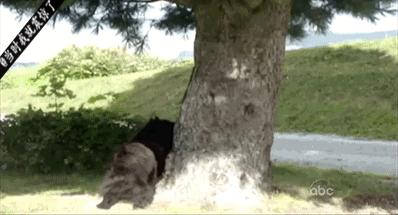 怎样让球可以绕过守门员转进去,开球怎么直接让球飞进球门