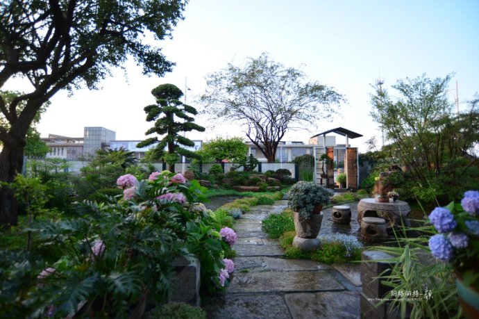 鎷滆涓滅鑽夊爞,鑺卞洯鎷滆