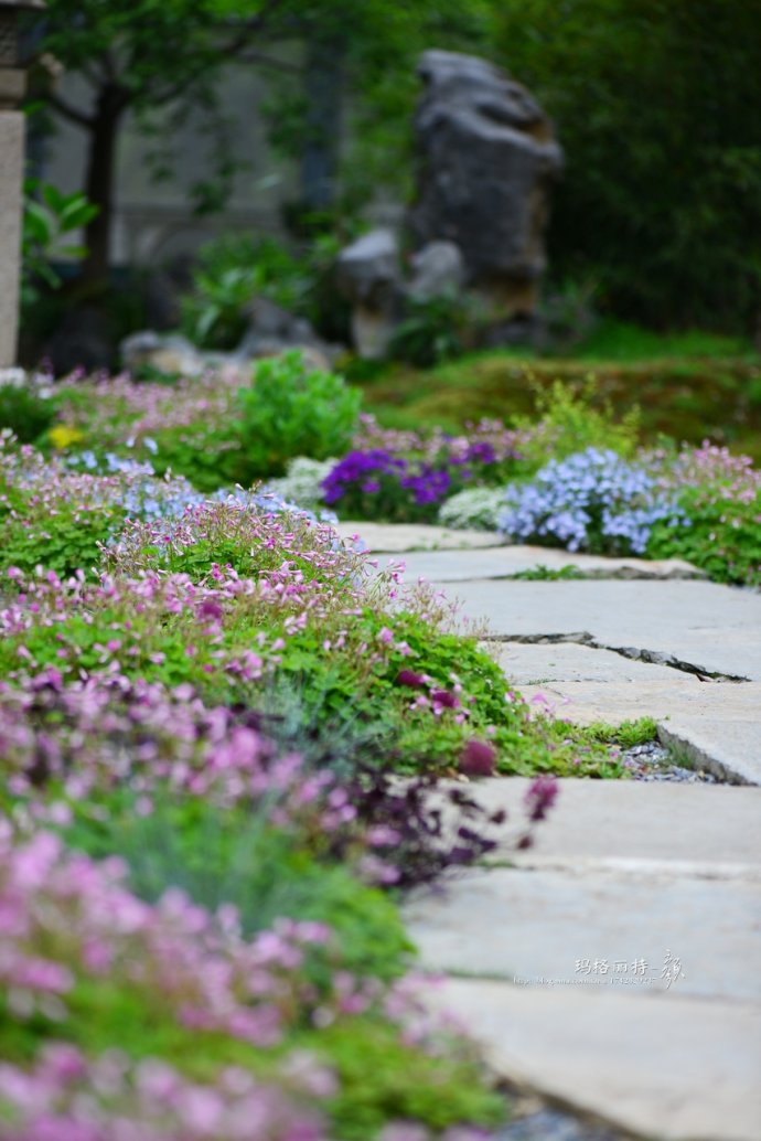 鎷滆涓滅鑽夊爞,鑺卞洯鎷滆