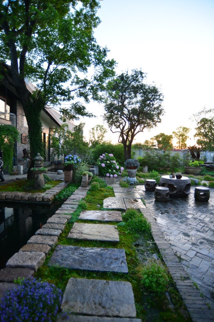 鎷滆涓滅鑽夊爞,鑺卞洯鎷滆