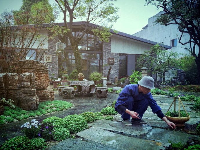 鎷滆涓滅鑽夊爞,鑺卞洯鎷滆