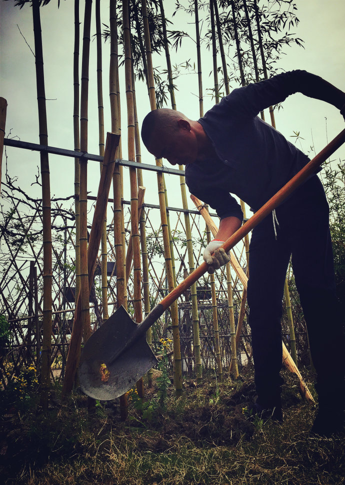鎷滆涓滅鑽夊爞,鑺卞洯鎷滆