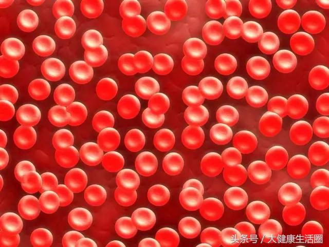 蚊子传染艾滋病的可能性是多少,蚊子为什么不能传染艾滋病