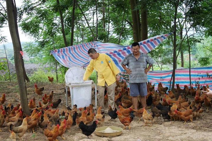 游机鸡是什么东西?吸引一群厨王跑到南宁农村吃