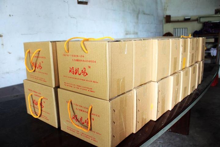 游机鸡是什么东西?吸引一群厨王跑到南宁农村吃