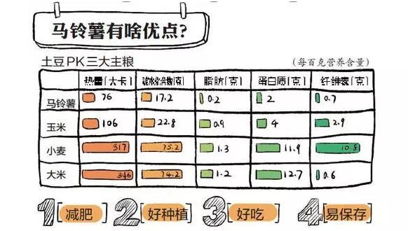国家推进马铃薯主粮化影响,中国农业经历了几次主粮改革