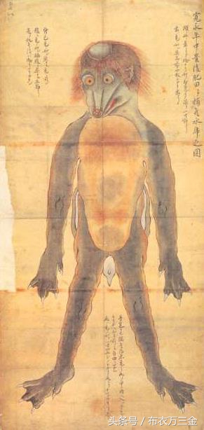 日本河童和水猴子,河童和水猴子哪个更可怕