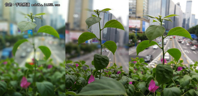 荣耀手机拍照对比评测,荣耀6p拍照对比