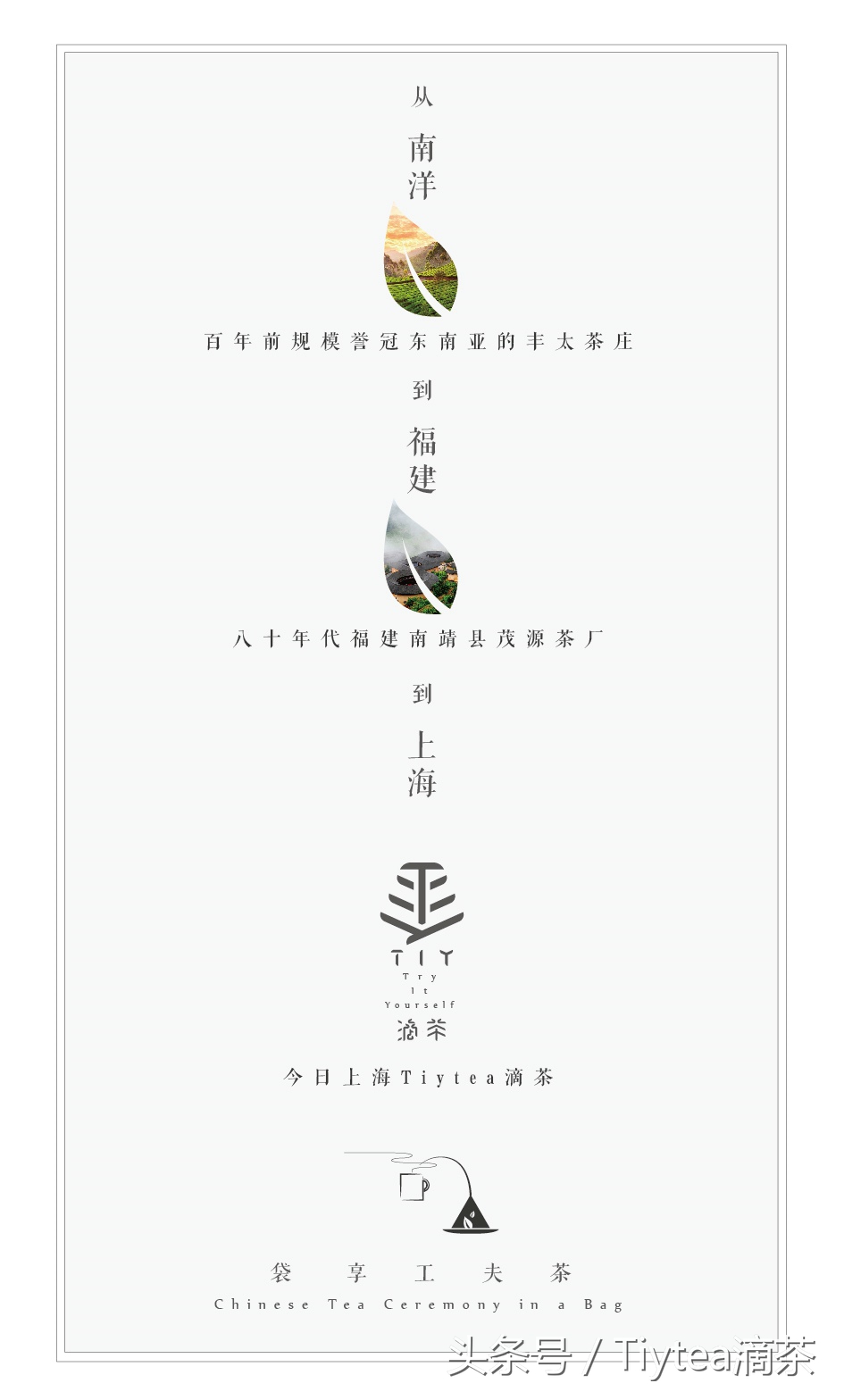 写在Tiytea滴茶即将一周年之际