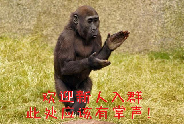 表情定制老司机，新人入群遭*戏调**，保证质量