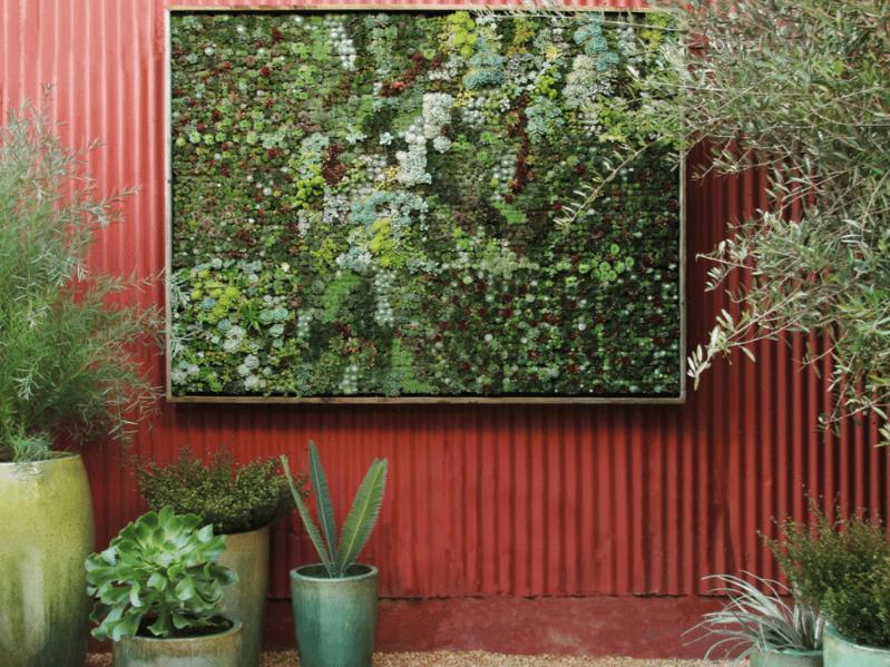 30个令人赞叹不已的生活墙设计创造自己的垂直花园，这或许从没见过的全花园式装修