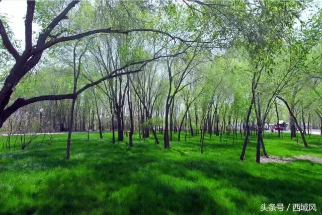 都说台湾民宿有特色，现在，昌吉也有了这样的好地方，它的名字叫芸农庄