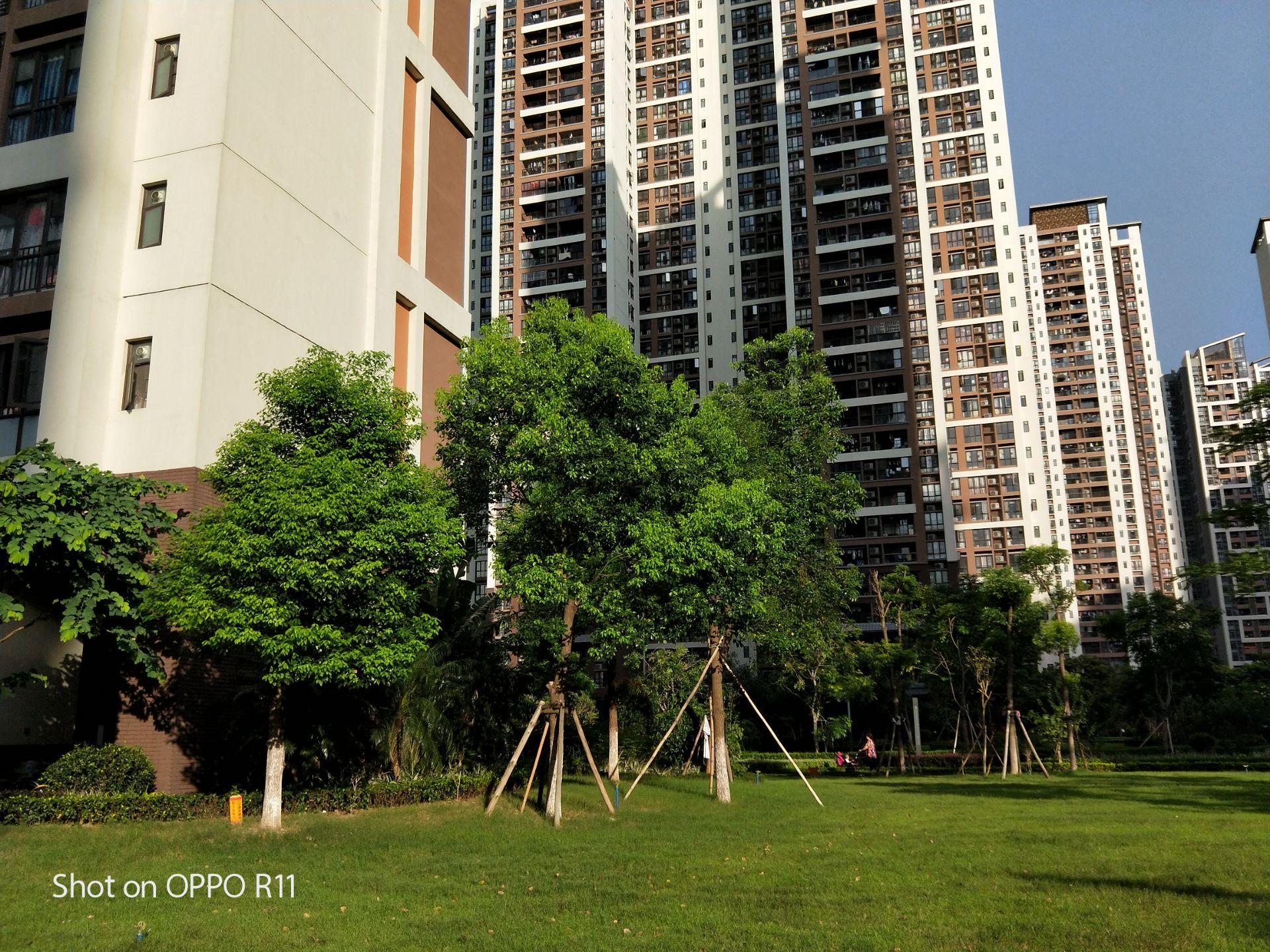 oppor11值得买二手,oppor11好用吗值得入手吗