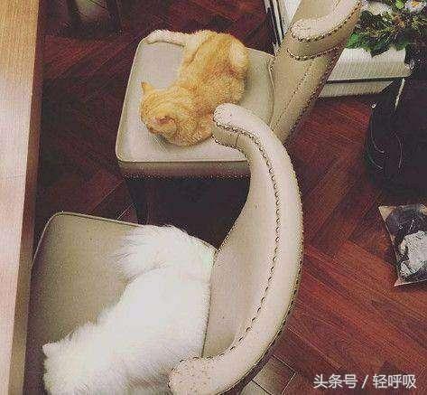 陈赫买豪华豪宅,陈赫住大豪宅