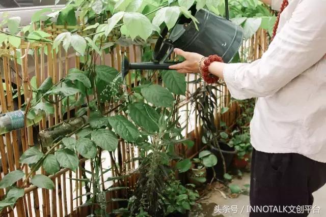 一个玩摇滚的大男生却始终戴着一串菩提项链，在*藏西**目睹了一整条河的六字真言，回来后他选择了当一个银匠人