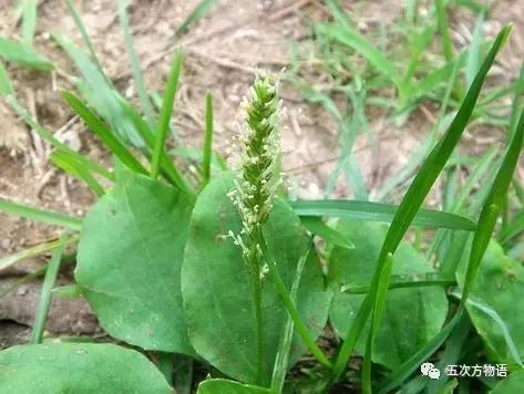 车到山前必有草,车到山前必有路山前山后都有
