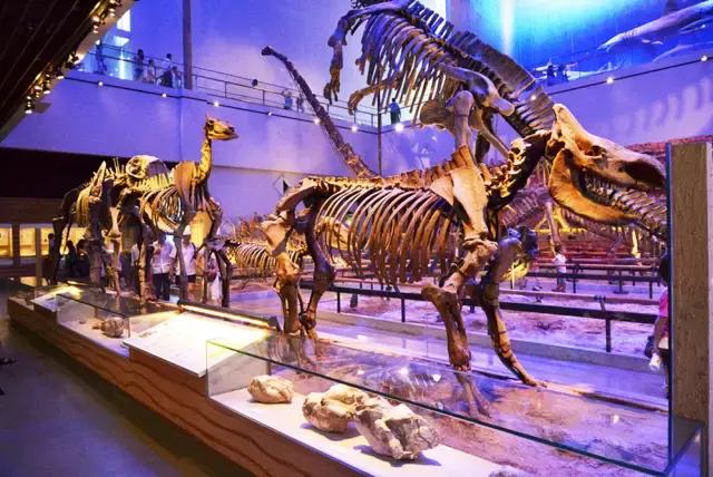 广州地铁沿线景点小孩子可以玩,广州6号线地铁有哪些旅游景点