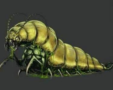 苗蛊到底是怎么回事,苗疆十大禁蛊